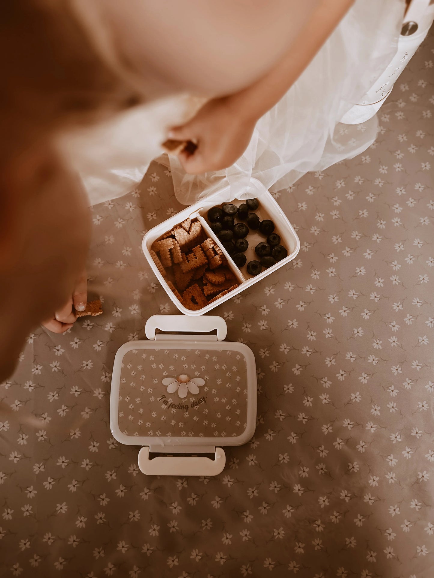 Priešpiečių dėžutė | LITTLE DAISYS